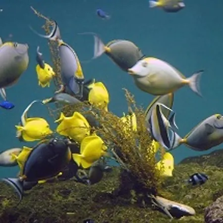 דירה Avec Balcon, Wifi, Et Parking Proche - Fr-1-92-616