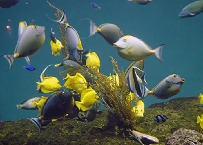 Apartamento Avec Balcon, Wifi, Et Parking Proche - Fr-1-92-616