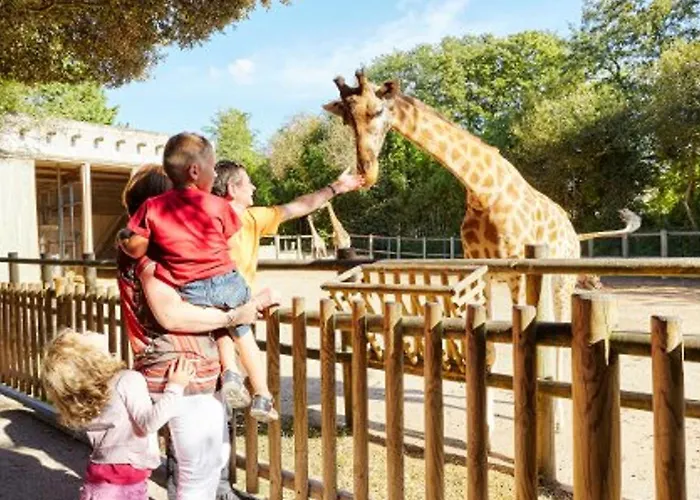 Apartamento Avec Balcon, Wifi, Et Parking Proche - Fr-1-92-616 *